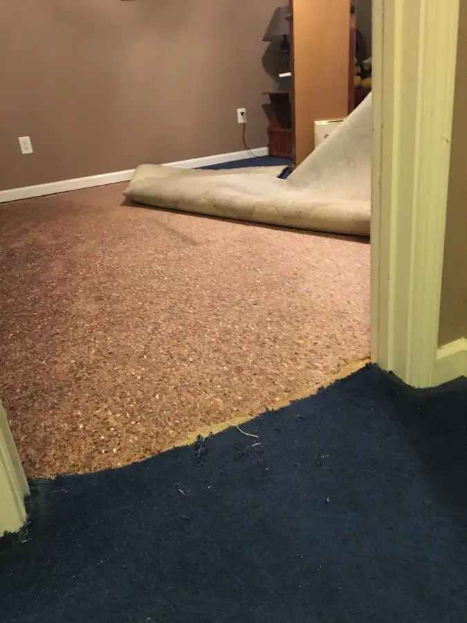 Carpet pad removal revealing water damage during Water Mitigation Services in Burlington