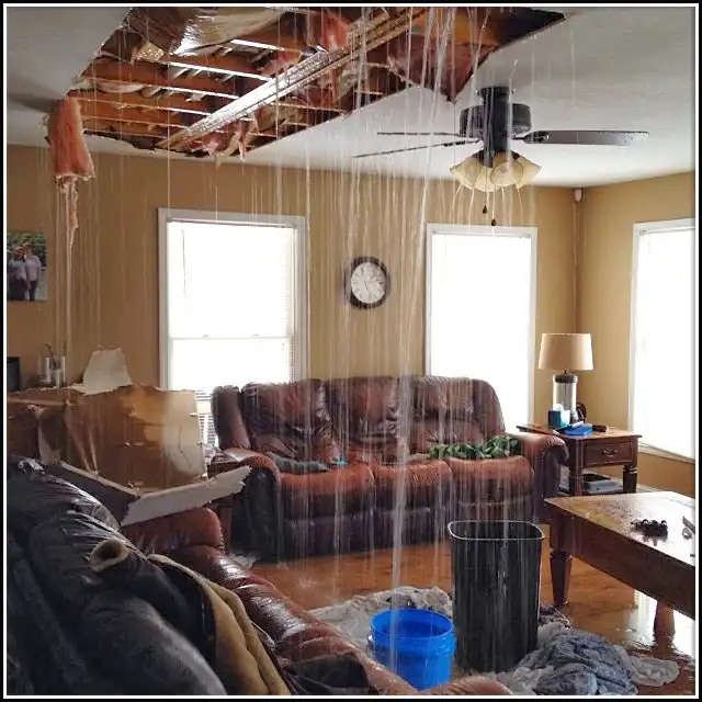 Water Damage Restoration services in Burlington, NJ